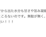【ヘルシー】試作/巻かない焼売マンドゥ‼️作り方16写真