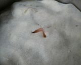 桃の甘煮〈　ジャム風　〉作り方3写真