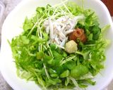 レタスたっぷり　シャキシャキ冷やし茶漬け作り方4写真