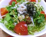 レタスたっぷり　シャキシャキ冷やし茶漬け作り方6写真