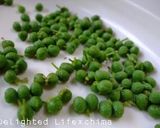 実山椒の佃煮作り方1写真
