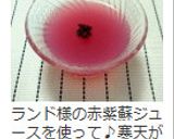 豆乳かんてん&シンプルかん作り方11写真