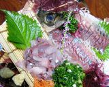冷涼感な鯵の刺身作り方4写真