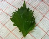 簡単！ 便利♪ 紫蘇カップ作り方1写真