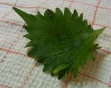 簡単！ 便利♪ 紫蘇カップ作り方6写真