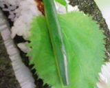✿ねぎ味噌の細巻き作り方7写真