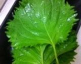 食欲そそる☆豚肉と大葉の醤油わさび炒め作り方4写真