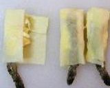 エビタマのワンタン包み揚げ作り方4写真