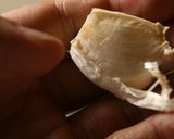 お料理が得意そうに見えるワタリガニパスタ作り方2写真