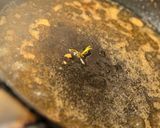 シンプルな豚ロース肉のオーブン焼き 作り方7写真