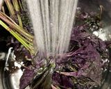 梅を漬けるための赤いシソ作り方2写真