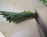 蜂蜜梅つゆ✿茸おろし冷蕎麦作り方5写真