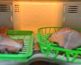 カレイの一夜干し作り方5写真