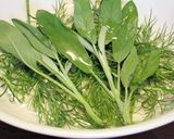 スズキのポワレ香草風味作り方1写真