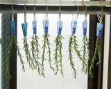 ローズマリーのお塩作り方9写真