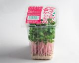 冷やして美味しい！豆乳肉みそそうめん作り方7写真