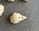 【フィグノア】イチジククルミの全粒粉パン作り方9写真