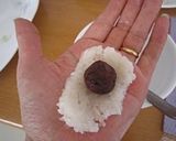 お団子風に一口おはぎ作り方8写真