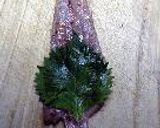 ささみロール～二つの味で～作り方5写真