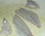 連子鯛のささ漬け作り方4写真