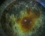【十勝カマンベール】味噌チーズリゾット作り方1写真