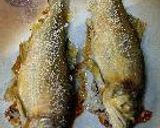 鮎飯作り方8写真