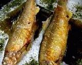 鮎飯作り方10写真
