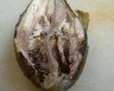 鮎飯作り方14写真