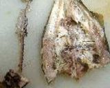 鮎飯作り方16写真