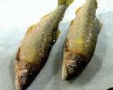 鮎飯作り方4写真
