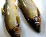 鮎飯作り方1写真