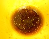 辣油を使った中華ドレッシングサラダ作り方3写真