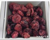 ＨＢ★クランベリー入りココアパン作り方3写真