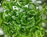 ゴーヤのツナコーンサラダ作り方5写真