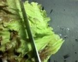 野菜を食べる♪シーザーサラダピザ作り方3写真