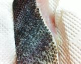 ★ちょいカレー風味すずきのムニエル★*。作り方4写真
