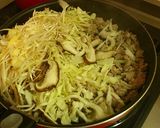 豚ひき肉の塩春巻き♪作り方3写真