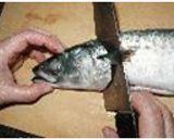 魚の3枚おろし作り方1写真