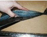 魚の3枚おろし作り方3写真