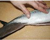 魚の3枚おろし作り方4写真