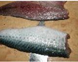魚の3枚おろし作り方9写真