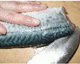 魚の3枚おろし作り方7写真