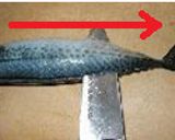 魚の3枚おろし作り方5写真