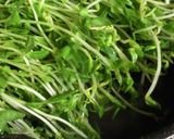 さんまの胡麻焼き&にんにく豆苗添え作り方6写真