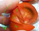 ドミノトマト（トマトのお花）作り方2写真
