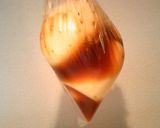 漬け卵☆黄金の味♪冷奴作り方3写真