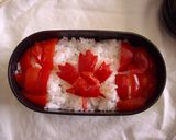「どこぞの島国では…」　弁当作り方7写真