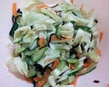 カマンベール入り野菜と塩昆布の浅漬け作り方1写真