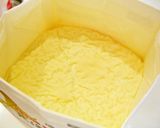 ビオフェルミンで作る自家製ヨーグルト作り方10写真