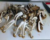 キノコのソテー(付け合せに）作り方1写真